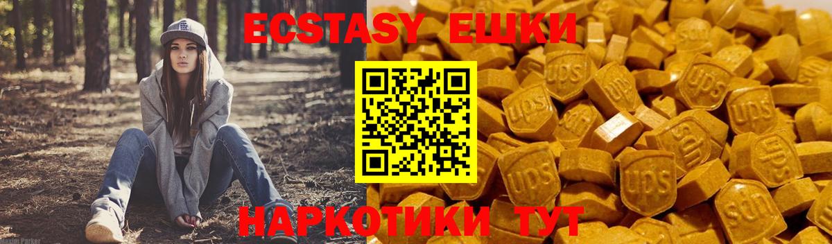 ЭКСТАЗИ TESLA Кубинка