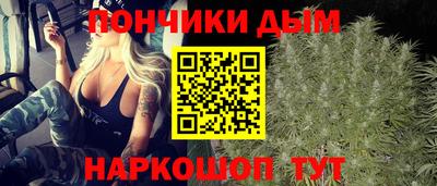 шишки Жуковский