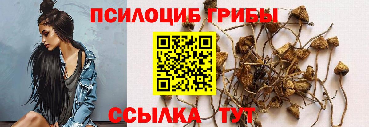 Псилоцибиновые грибы прущие грибы Кубинка