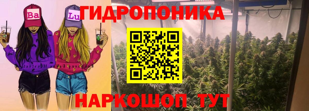 Канабис план  Вход с VPN  Конопля ГИДРОПОН  Бошки марихуана LSD WEED  Кубинка 